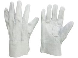 ~hS v OD MT-152D-W MT-152D-W