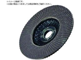 ���i�Z ����TOP�f�B�X�N100X15A60 TA04