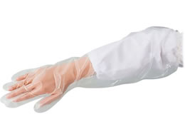 irX vVFA|G`O t[TCY ŋۍ 50