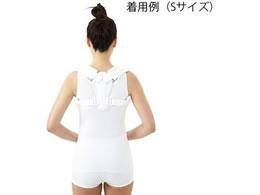 Dr.MED �N���r�N���X�v�����g Dr.MED 30�`35cm 7-1372-01