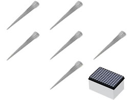 AY ACrXXyA{bNX 1`250L 96{~10