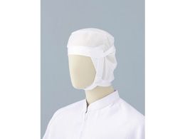 ~hS Ci[lbg lbg3  NET3-DAI