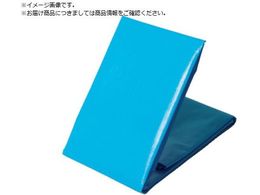  NEOV[g u[V[g #3000 S^Cv 10m~10m NEOS1010