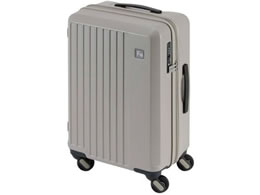 Gh[ LIEVE 4փL[ 48cm O[W 1-250 G