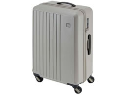 Gh[ LIEVE 4փL[ 57cm O[W 1-252 G