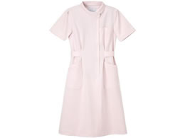 �i�K�C���[�x�� �Ō�� ���� LL �s���N CA-1707