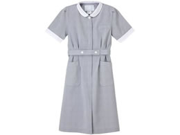 �i�K�C���[�x�� ���K�� EL �O���[ GC-2207