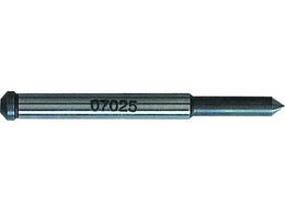  pCbgsB-2 07025L 37319 NO.07025L