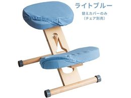 {쏊 v|[V`FApւJo[ Cgu[ CV-N8W