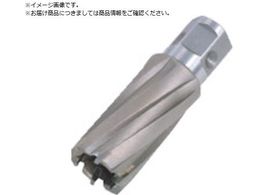 ���� �W�F�b�g�u���[�` �����^�b�`�^�C�v 12X20L 16312 NO.16312