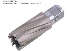 ���� �W�F�b�g�u���[�` �����^�b�`�^�C�v 31X35L 16331 NO.16331