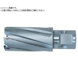 ���� �W�F�b�g�u���[�` �����^�b�`�^�C�v 39X35L 16339 NO.16339