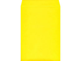 p2J[Ntg CG[ 100 K2S-423