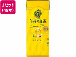 �L���� �ߌ�̍g�� �������e�B�[ 250ml LL�X�����~48�{
