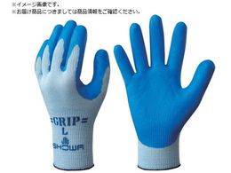 SHOWA jgSw No360̓Obv u[ MTCY