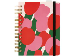 �L���O�W�� �q�g�g�L�m�[�gPR �`���[���b�v HN-PR10