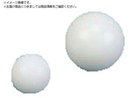 tP~J tbf PTFE  19.05 NR0308-006