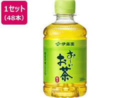 �ɓ��� ���`������ �Β� 280mL �n�[�t�P�[�X 12�{�~4��