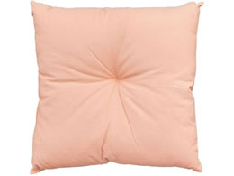  ӂazc 600~600~100mm sN