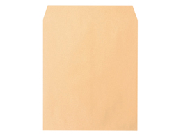 t Ntg A3p(385~450mm)120g^m2 100