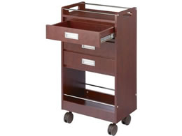 �}�c���V �A�v�����S�� �ؐ��^�C�v ���[�Y�E�b�h SN-AP018RW