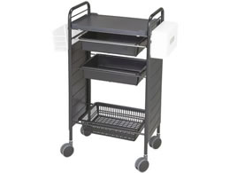 �}�c���V �J���[�A�v�����S�� �T�C�h�J�o�[�t�E���[�^�C�v 485�~300�~890mm �u���b�N SN-AP007