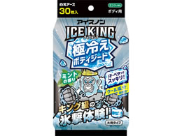 �����A�[�X �A�C�X�m�� ICEKING �ɗ₦ �{�f�B�V�[�g �~���g�̍��� 30��