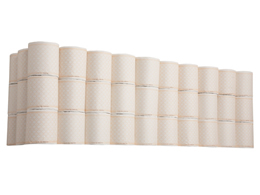 Forestway gCbgy[p[ 65m(G{XH)100[