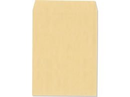 n[g ΉNtg p3 [100]