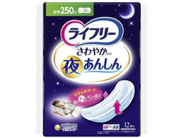 ���j�E�`���[�� ���C�t���[ ����₩�p�b�h �邠�񂵂� 250CC 12��