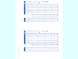 OBC 単票封筒用支給明細書(内訳項目付)6235 300枚