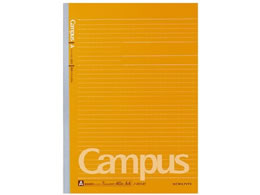 RN LpXm[g(hbgr) A4 Ar m-201AT