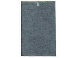 V[v WtB^[(HEPAtB^[) FZ-C100HF