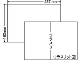 NANA xV[iiRs[B5 m[Jbg Ĕ 1000V[g C1B5F