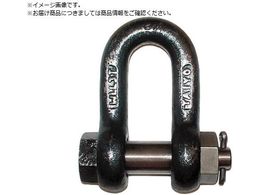 TAIYO TAIYOVbNM  SB-6 1015429 TSB-6