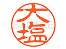 V`n^ XL-11(剖) XL1100481