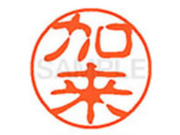 V`n^ XL-11() XL1100658