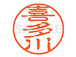 V`n^ XL-11(쑽) XL1100914