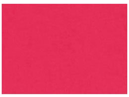 ĐFp c ڂ񂢂 10 8NCR-325