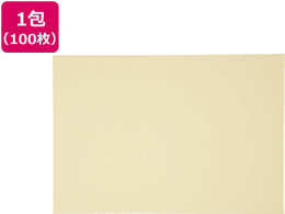 �Đ��F��p�� �l�c�� �N���[�� 100�� 4NCR-101