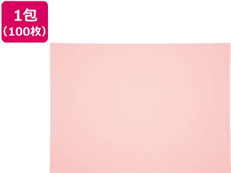 �Đ��F��p�� �l�c�� �������� 100�� 4NCR-102