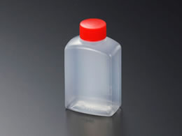 �������w �^���� �p ���� (D) 50��