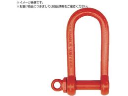 TAIYO ͒VbN P݃^Cv 1.25g 1013660