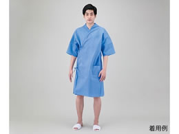 �A�Y���� �v���V�F�A�E�f�B�X�|SMS���f�� �t���[ 10���� 7-952-01