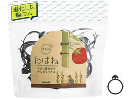 a I[oh ΂ #16  GGS-N-105T