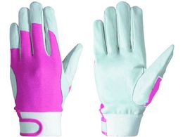 V ؊vbbV}WbNt 129ؔ S PL129 S