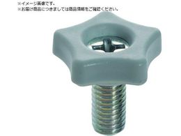 TRUSCO �\�����t�c�[���m�u��15 �� M4X10 �m�u����5.5 10�� P=0.7 TT2M4X10-W