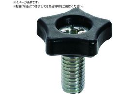 TRUSCO \tc[mu18  M6X15 mu6 10 P=1 TT3M6X15-BK
