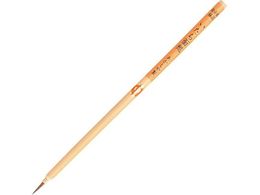 �������� �M �������ʑ� �� PN-18