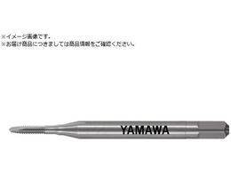 } |Cg^bv PO P3 M1.4X0.3 PO-P3-M1.4X0.3+30